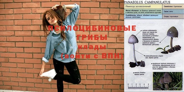 альфа пвп VHQ Баксан